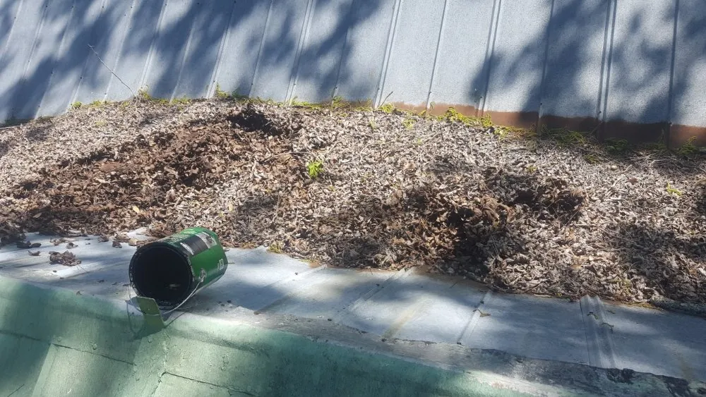 Custom yard maintenance in Sparta, GA - Reynolds Lawn Care And More