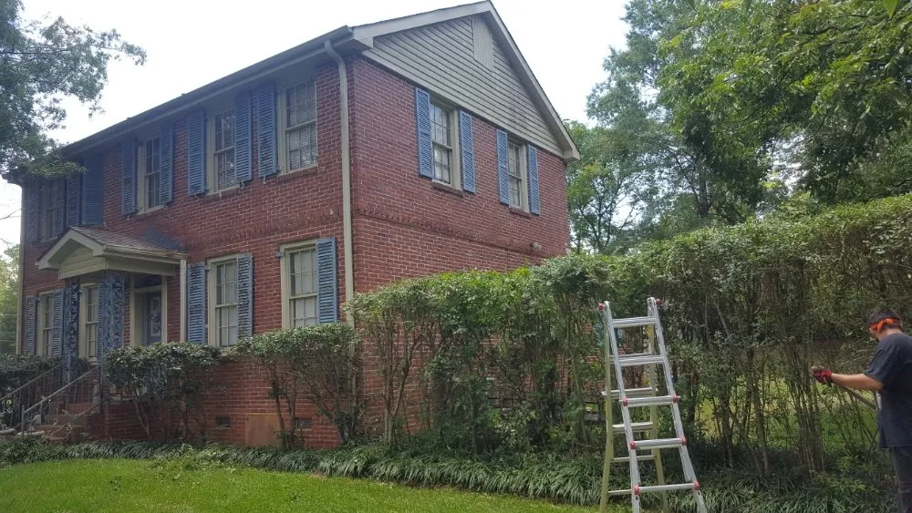 Trusted yard cleanup service experts serving Sparta, GA - Reynolds Lawn Care And More