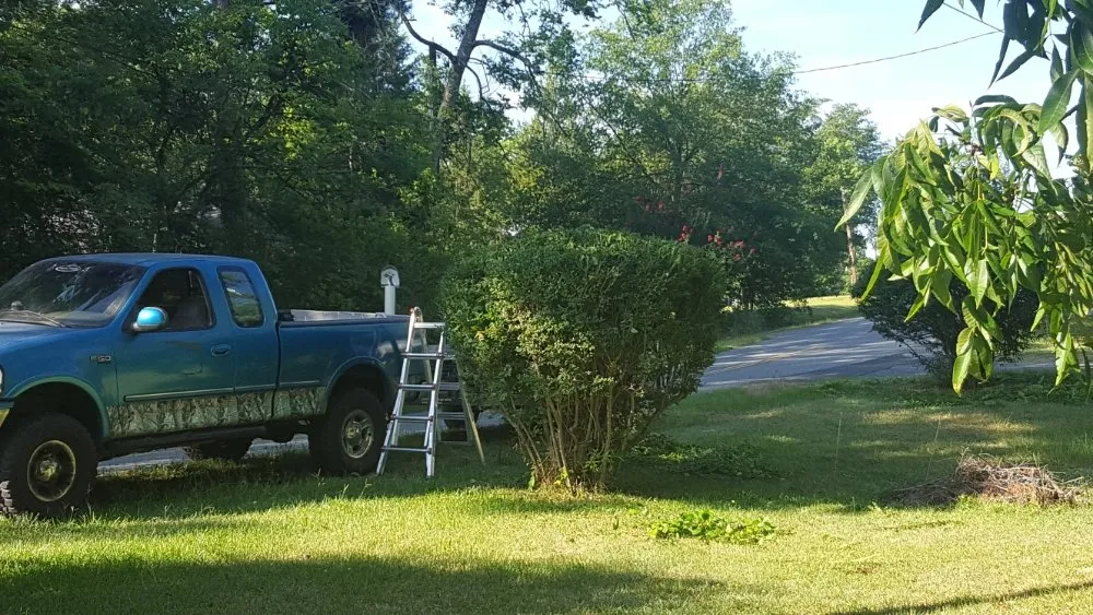 Professional landscape design experts serving Sparta, GA - Reynolds Lawn Care And More