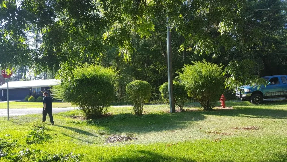 Top-rated residential landscaping experts serving Sparta, GA - Reynolds Lawn Care And More