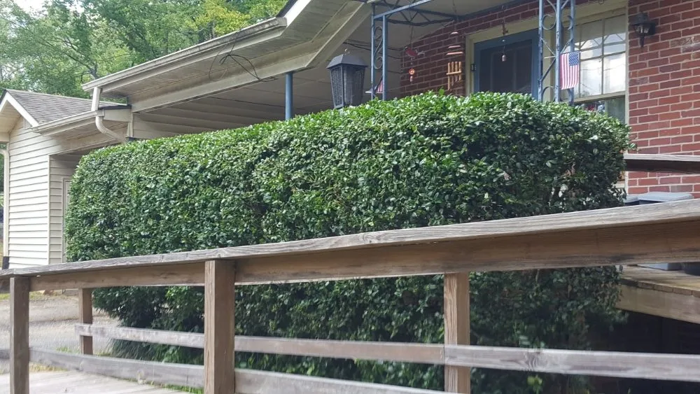 Expert outdoor landscaping in Sparta, GA - Reynolds Lawn Care And More