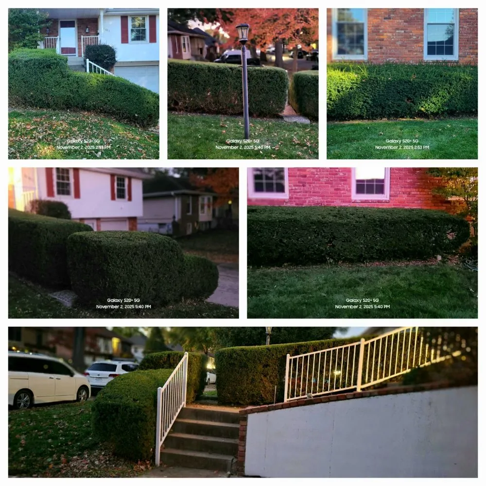Top-rated landscape design experts serving Grandview, MO - Reynolds Lawn Care