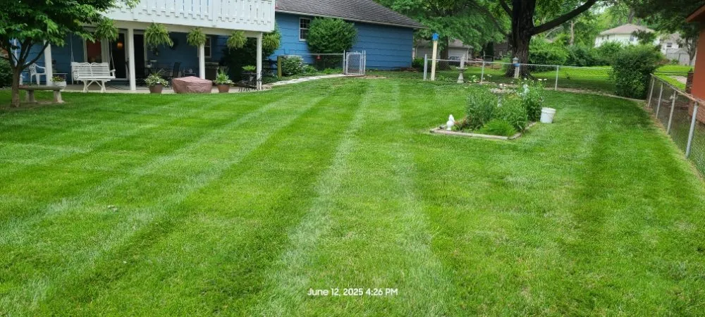 Reliable yard cleanup service in Grandview, MO - Reynolds Lawn Care