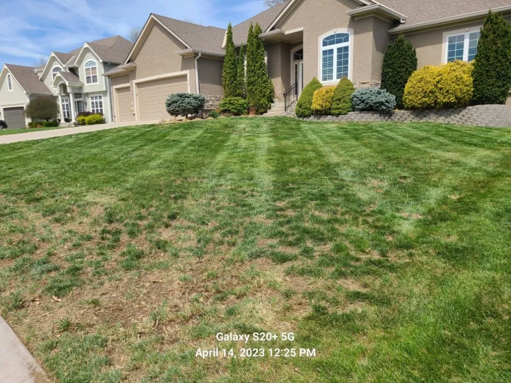 Custom lawn mowing service near you across Grandview, MO - Reynolds Lawn Care