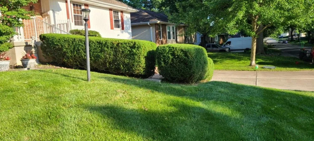Top-rated outdoor landscaping in Grandview, MO - Reynolds Lawn Care