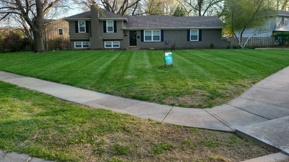 Professional yard cleanup service for residential properties in Grandview, MO by Reynolds Lawn Care