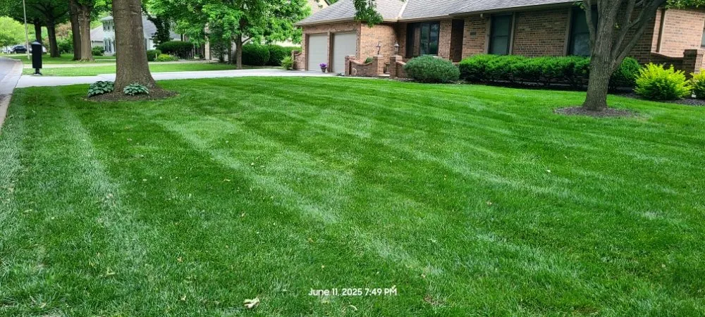 Top-rated outdoor landscaping for residential properties across Grandview, MO - Reynolds Lawn Care