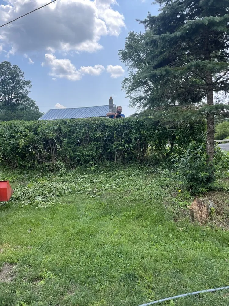 Trusted yard maintenance in Lockwood, NY by Reynolds Lawn Care