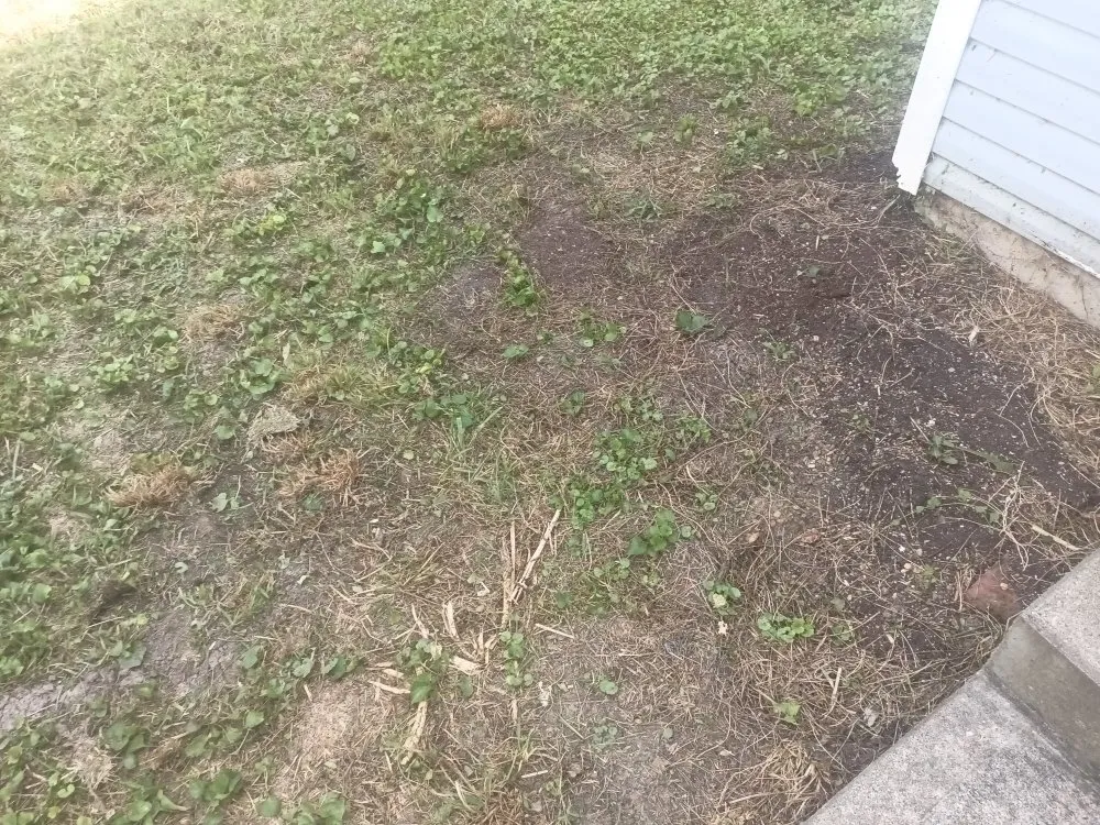 Local landscaping services near you across Saint Joseph, MO - Reynolds Lawn Service