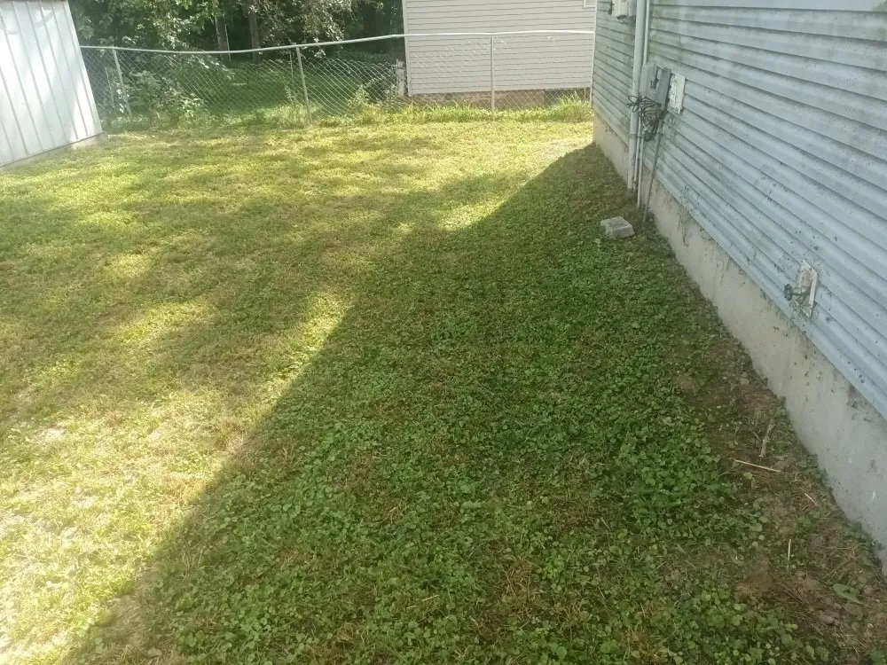 Reliable lawn care service for beautiful yards across Saint Joseph, MO - Reynolds Lawn Service