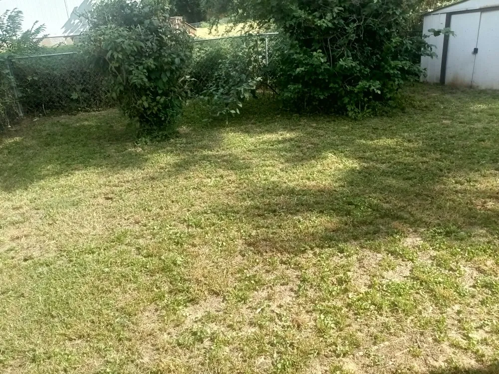 Custom landscaping services experts serving Saint Joseph, MO - Reynolds Lawn Service