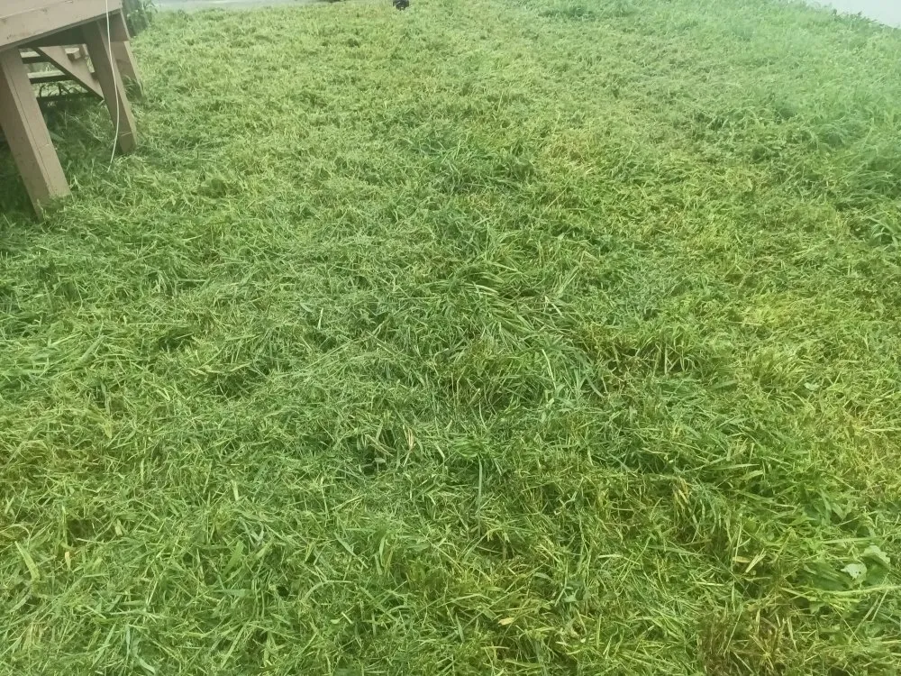 Affordable landscape design in Saint Joseph, MO - Reynolds Lawn Service