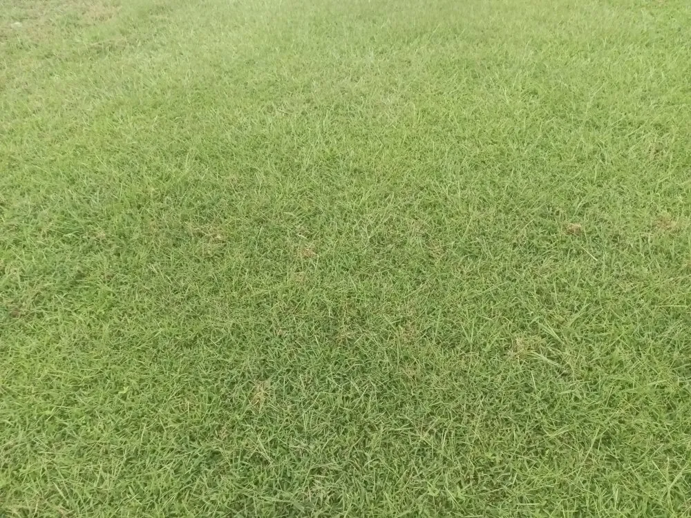 Local lawn care service for outdoor upgrades in Saint Joseph, MO by Reynolds Lawn Service