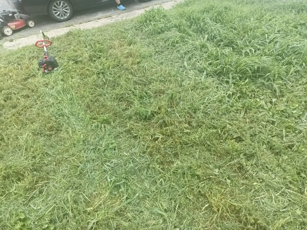 Top-rated lawn care service in Saint Joseph, MO by Reynolds Lawn Service