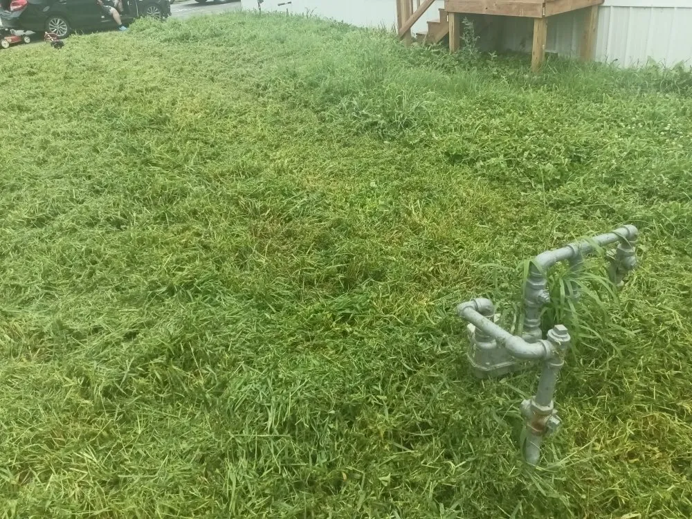 Reliable landscaping services experts serving Saint Joseph, MO - Reynolds Lawn Service