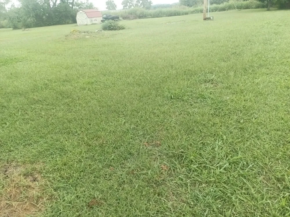 Custom lawn mowing service for year-round maintenance across Saint Joseph, MO - Reynolds Lawn Service