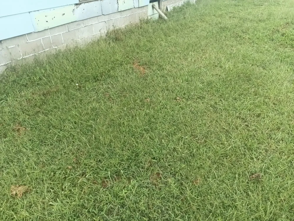 Expert landscape design for year-round maintenance across Saint Joseph, MO - Reynolds Lawn Service