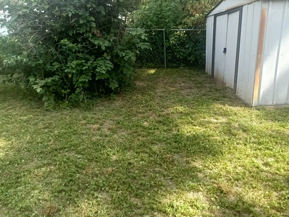 Top-rated lawn mowing service experts serving Saint Joseph, MO - Reynolds Lawn Service