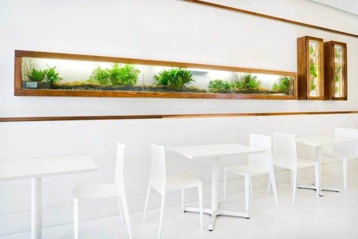 Professional lawn mowing service experts serving San Francisco, CA - Reynolds-Sebastiani Design Services