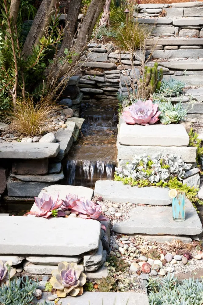 Affordable yard cleanup service in San Francisco, CA by Reynolds-Sebastiani Design Services