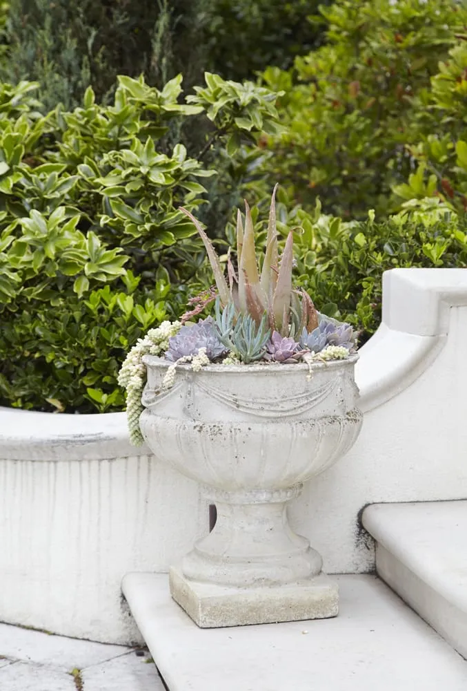 Top-rated yard cleanup service near you in San Francisco, CA by Reynolds-Sebastiani Design Services