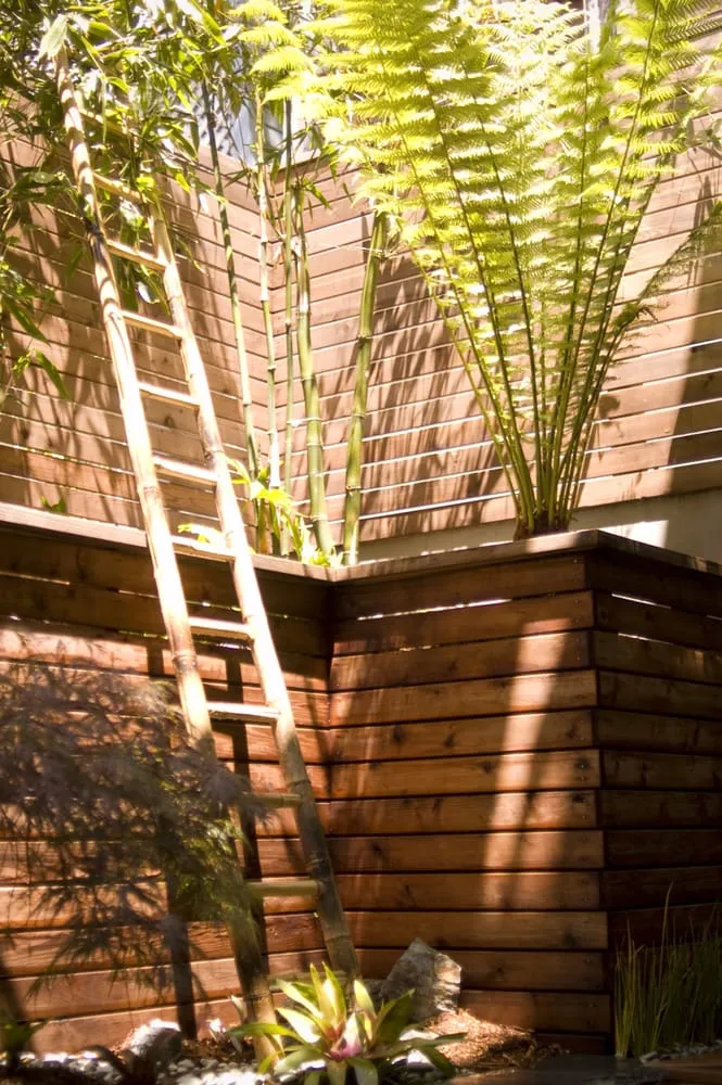 Custom yard cleanup service for outdoor upgrades across San Francisco, CA - Reynolds-Sebastiani Design Services