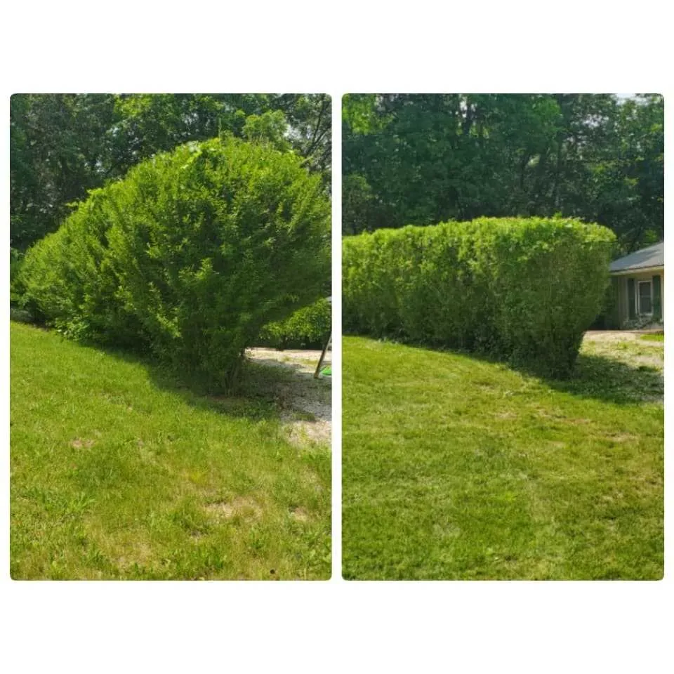 Professional landscaping services for outdoor upgrades in Cameron, MO by Reynolds Works