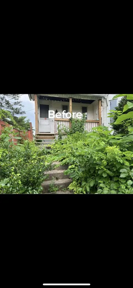 Custom lawn care service in Holyoke, MA - Reynoso's Exterior's