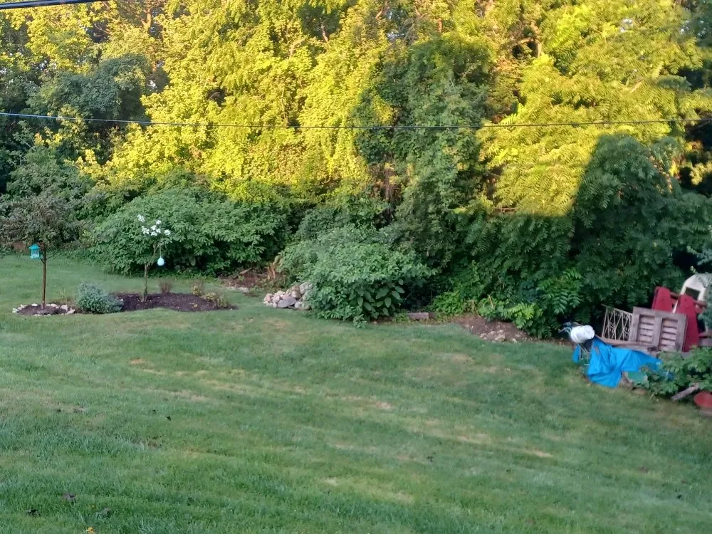 Expert garden landscaping for homes across Carpentersville, IL - Rey's Landscaping & LO