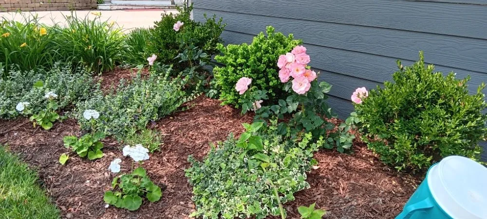 Local outdoor landscaping experts serving Carpentersville, IL - Rey's Landscaping & LO