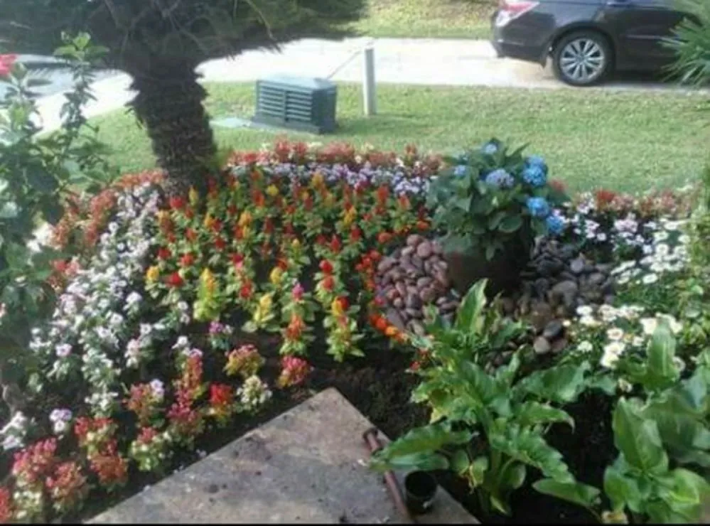 Affordable yard cleanup service experts serving Devine, TX - Rey's Lawn & Landscaping