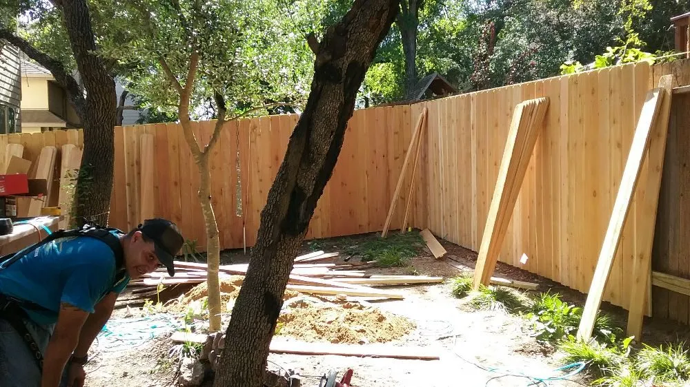 Expert yard maintenance in Devine, TX by Rey's Lawn & Landscaping