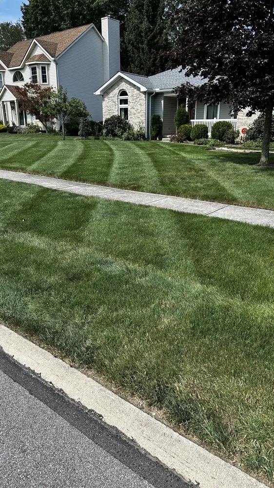 Custom lawn care service in Amherst, OH - Rey’s Lawn Mowing Service