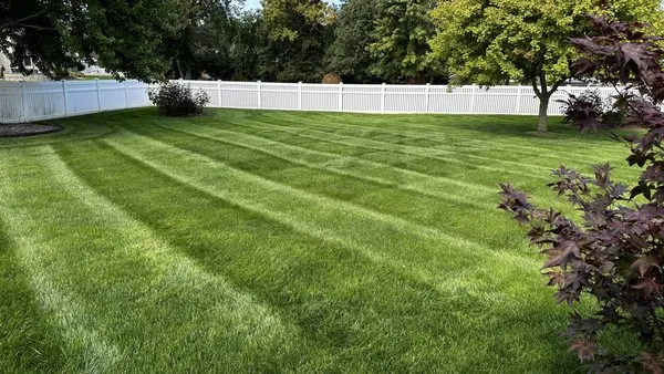 Rey’s Lawn Mowing Service