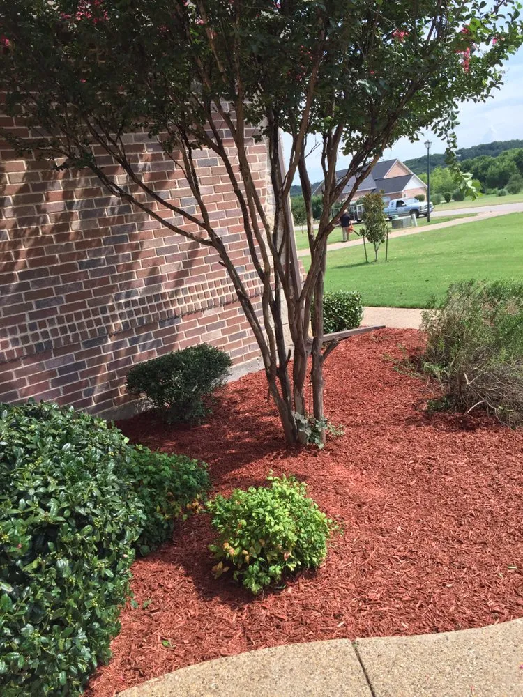 Top-rated lawn care service in Duncanville, TX - Rey's Lawncare