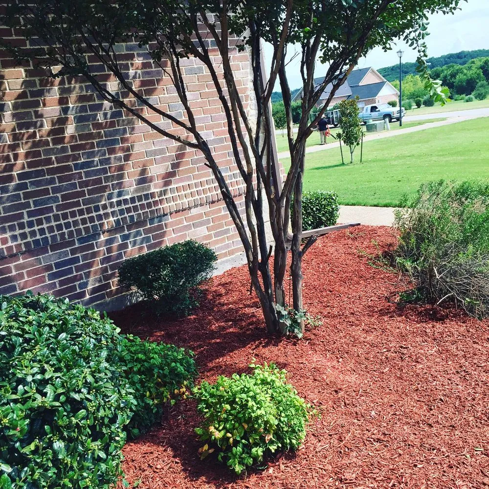 Expert landscape design for outdoor upgrades in Duncanville, TX by Rey's Lawncare