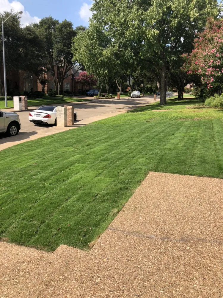 Trusted yard cleanup service experts serving Duncanville, TX - Rey's Lawncare