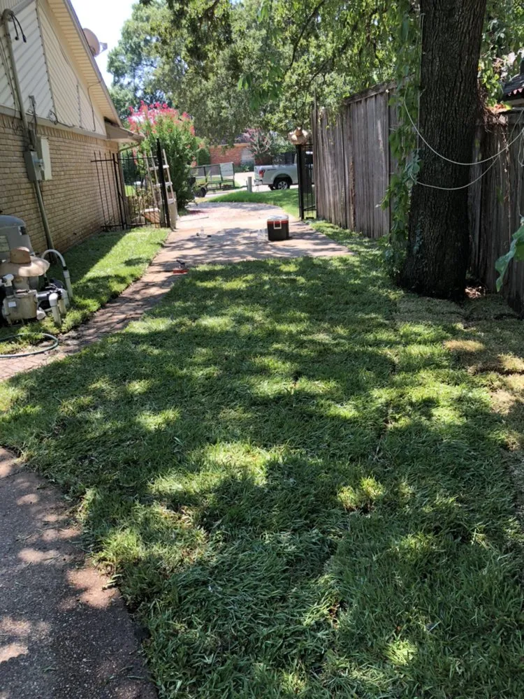 Expert garden landscaping experts serving Duncanville, TX - Rey's Lawncare