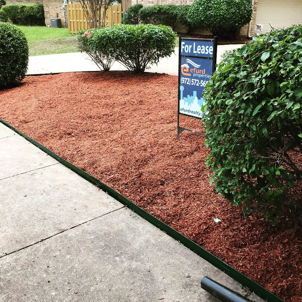 Reliable yard maintenance experts serving Duncanville, TX - Rey's Lawncare