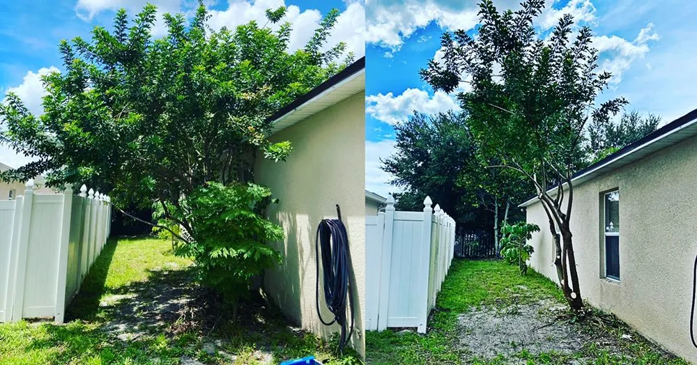 Top-rated yard cleanup service in Lake Mary, FL - Rey’s Pro Lawn Care