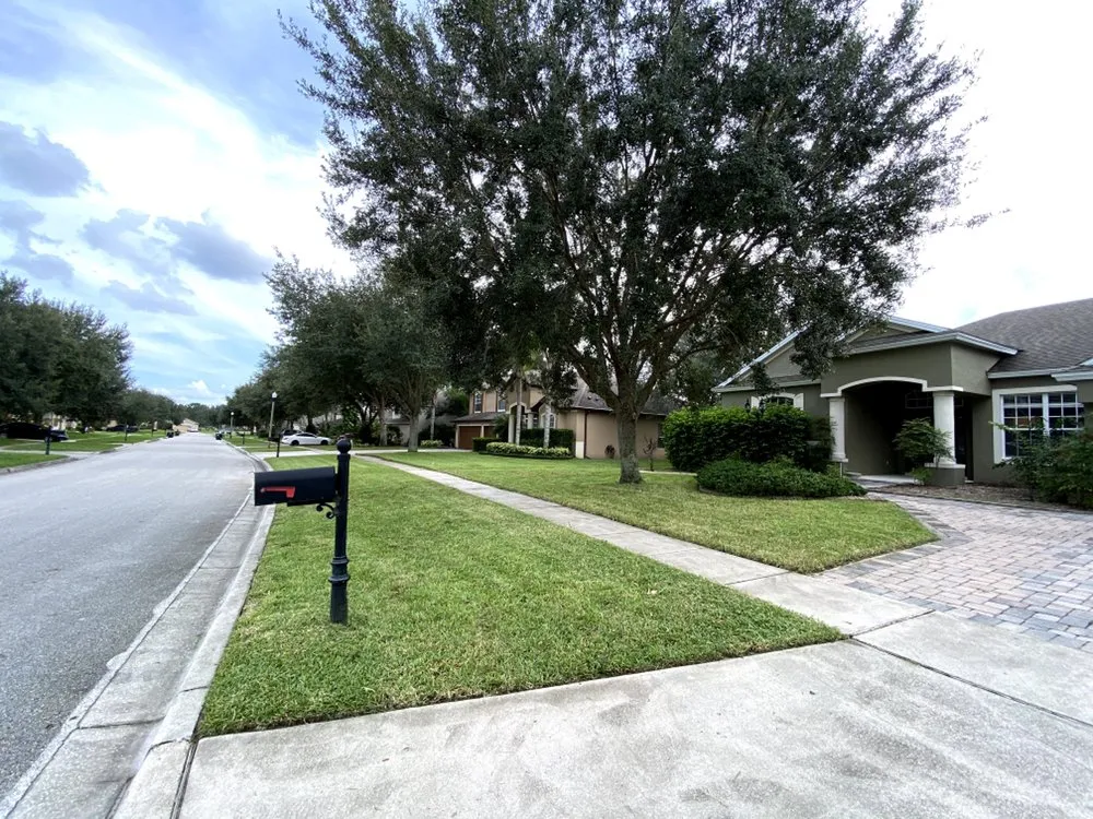 Trusted yard cleanup service in Lake Mary, FL - Rey’s Pro Lawn Care