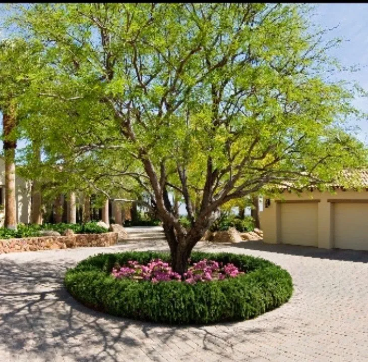 Top-rated landscape installation in Phoenix, AZ by Rey's Tree Service