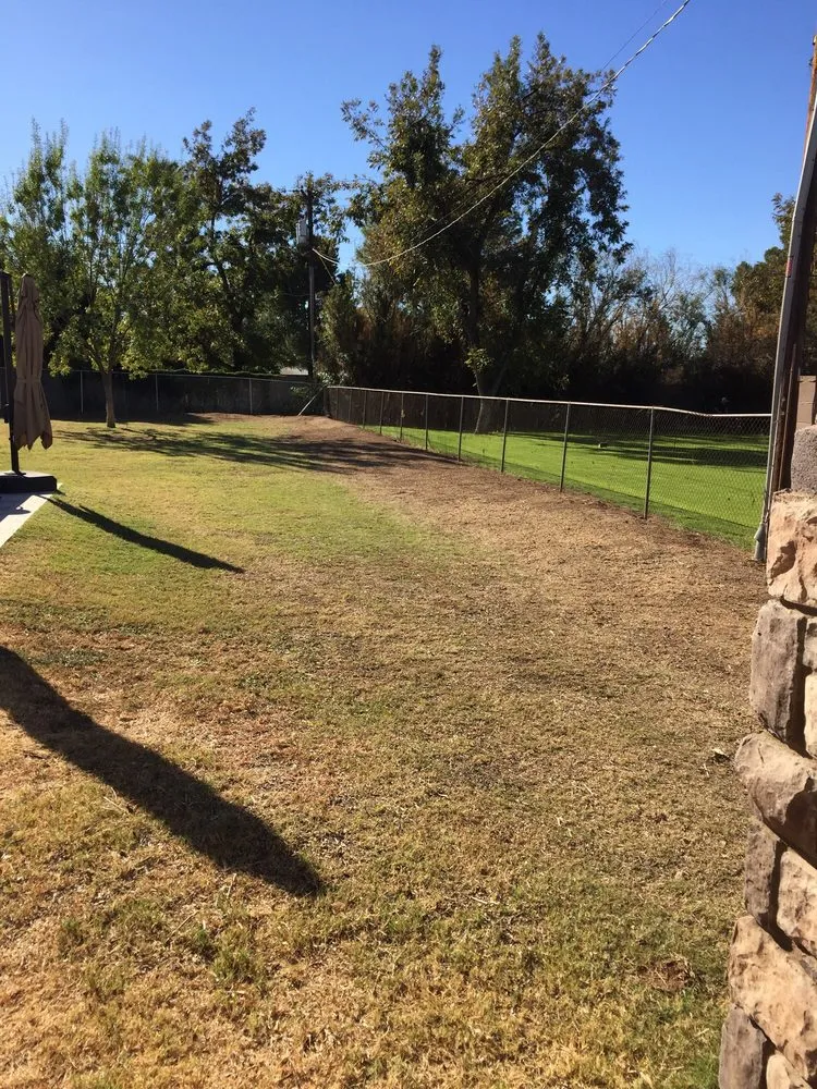 Expert residential landscaping in Phoenix, AZ by Rey's Tree Service