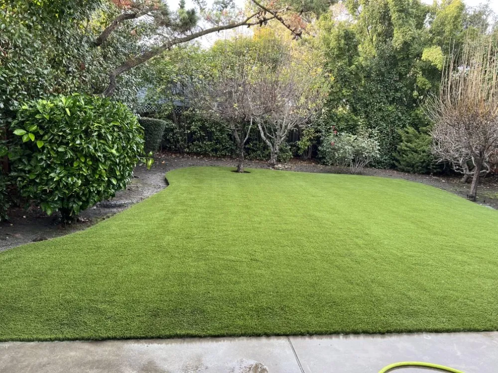 Professional lawn care service for outdoor upgrades across San Leandro, CA - Rey's Turf & Landscaping
