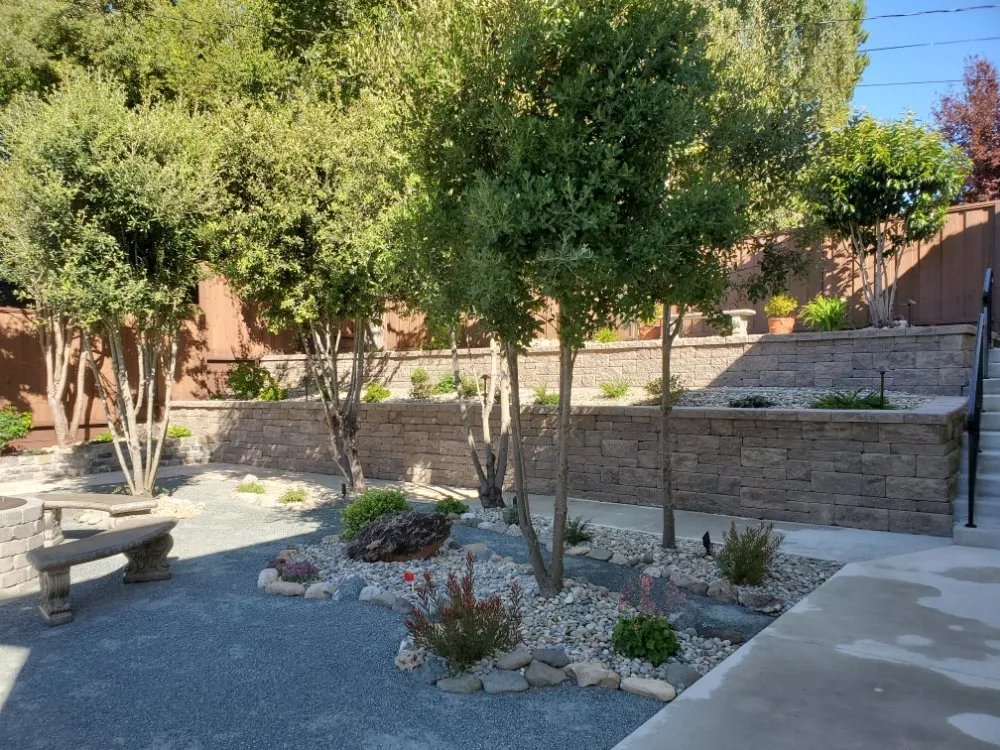 Reliable lawn care service for homes in San Bruno, CA by Reyscapes