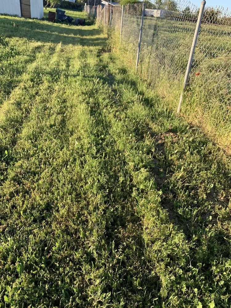 Reliable landscape installation in French Camp, CA - Reza Gardening