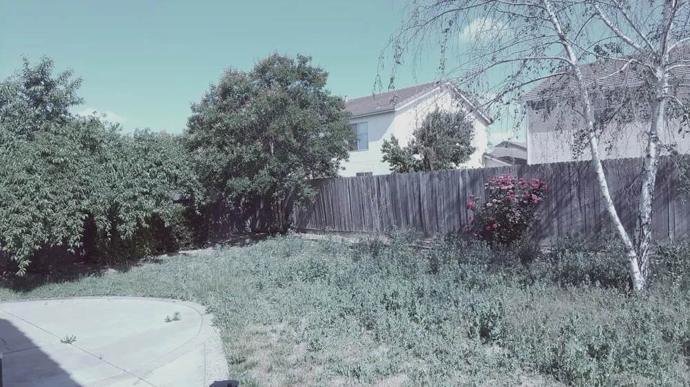 Reliable lawn care service in French Camp, CA by Reza Gardening