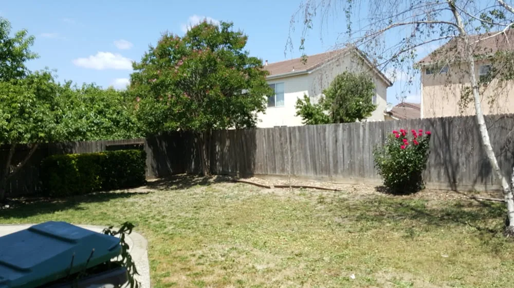 Trusted yard maintenance for year-round maintenance across French Camp, CA - Reza Gardening