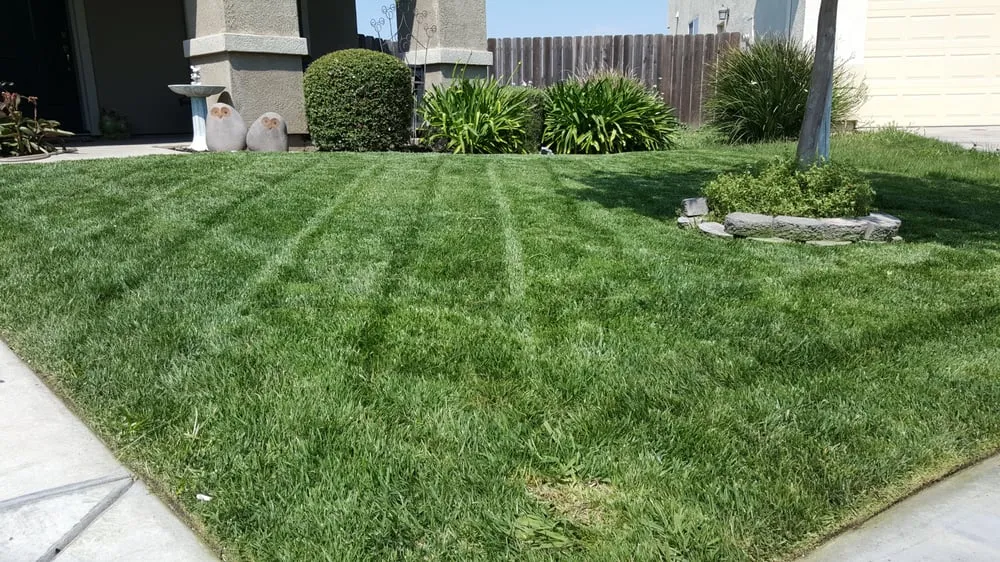 Expert landscaping services experts serving French Camp, CA - Reza Gardening