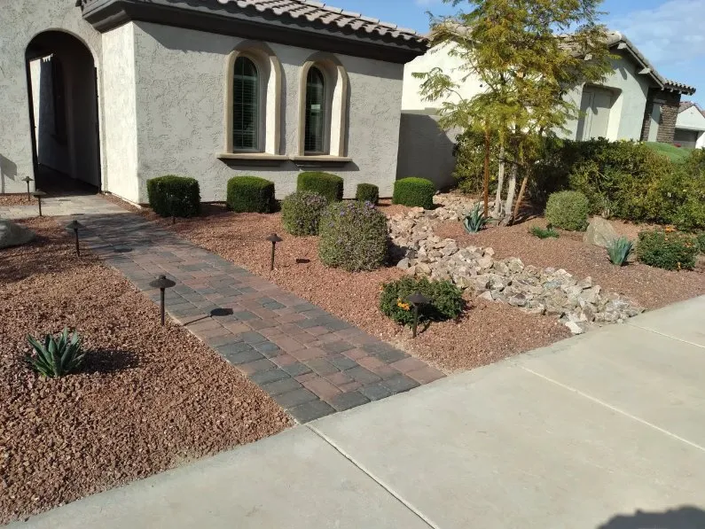 Local landscape installation for outdoor upgrades across Phoenix, AZ - Reza Landscaping